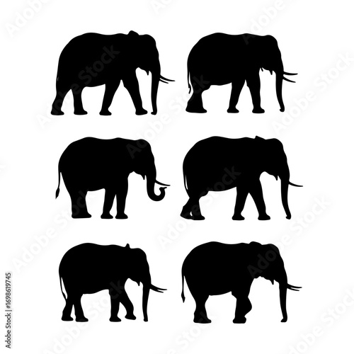 elephant silhouette set vector