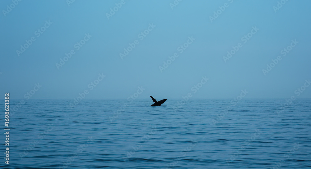 Obraz premium Whale tail breaching ocean surface