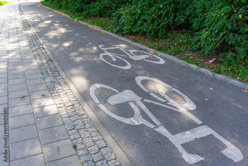 Bicycle path with white bike markings on asphalt, next to paved sidewalk and green bushes along the side.