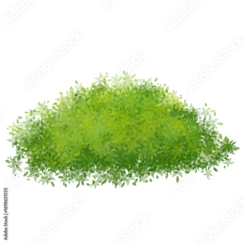 Green grass mound, shrubs illustration