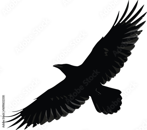 Flying black crow isolated on white background, high contrast bird silhouette, majestic raven wings spread in flight, wildlife bird photography