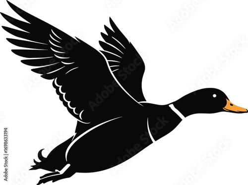 Flying Duck Silhouette with Orange Beak, Black and White Vector Art, Wild Waterfowl Bird Illustration, Isolated Duck in Flight Design