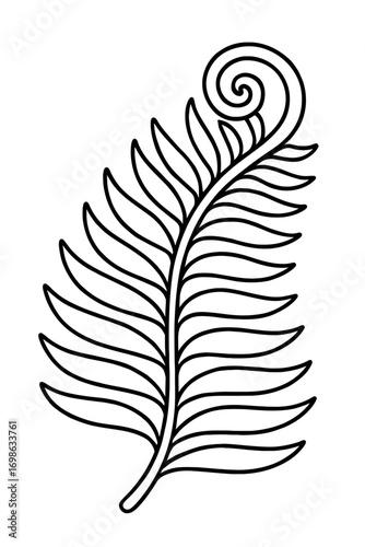 Elegant black line art fern frond, spiral curl. Botanical design, coloring page, minimalist decor, vector graphic, tattoo art, educational plant visual. Creative project, organic beauty, natural tranq