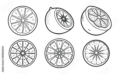 Vector art of hand drawn orange fruit slices