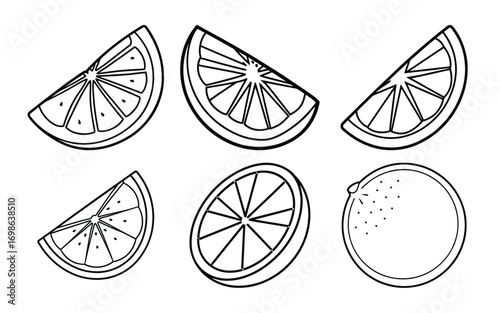 Vector art of hand drawn orange fruit slices