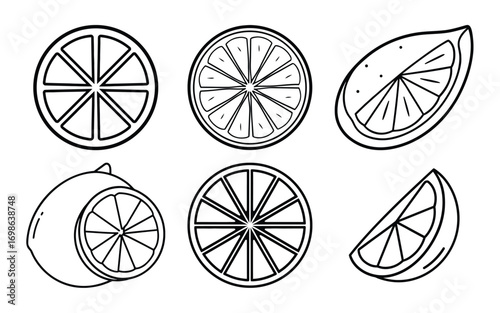 Vector art of various lemon slices
