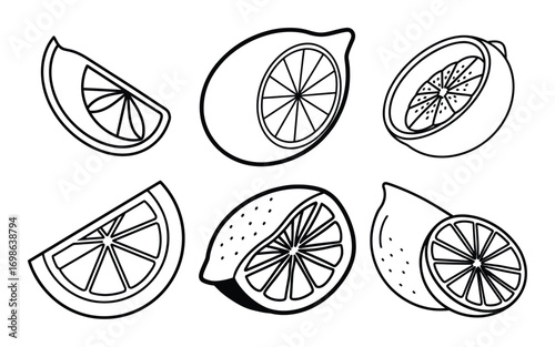Vector art of lemon slices and whole fruits