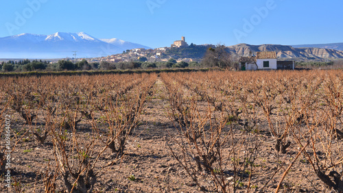 Vineyards of Campo de Borja and Sierra del Moncayo. 