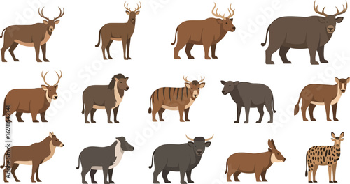 Photography Wild animals set