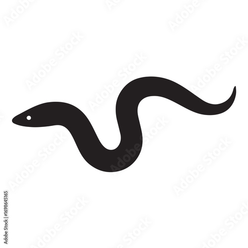 American eel.eps