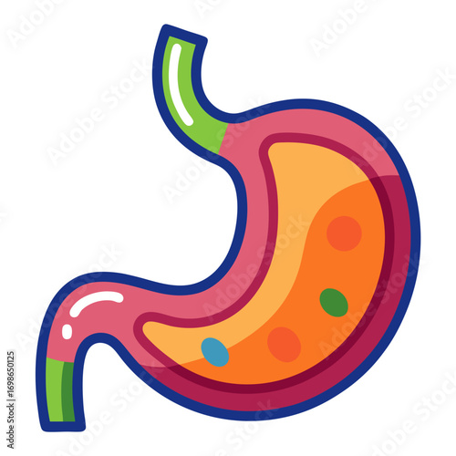 Vibrant and detailed illustration of the human stomach, perfect for medical, educational, or health-related projects, with a clean, modern design, ideal for presentations and infographics.
