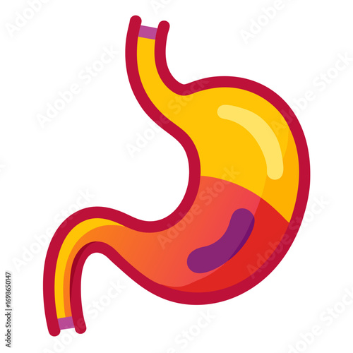 Vibrant and colorful illustration of the human stomach, ideal for medical, educational, or wellness-related projects, conveying concepts of health, anatomy, and digestion