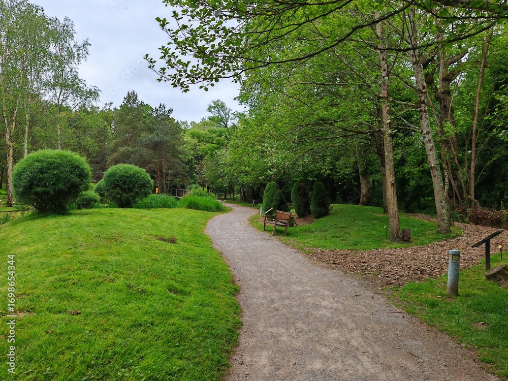 Obraz premium Green park pathway with benches among trees