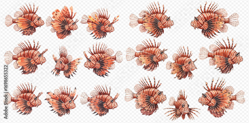 A collection of detailed watercolor illustrations of red lionfish, showcasing various swimming poses and angles.