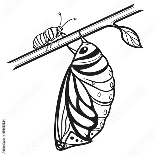 Monarch Butterfly Chrysalis Hanging From a Branch with an Insect Companion Awaiting Transformation in Nature's Embrace Black and White Illustration