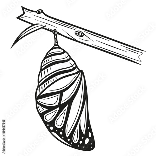 Monochrome Monarch Butterfly Chrysalis Hanging from a Branch Intricate Black and White Illustration Style Artwork Nature-Inspired