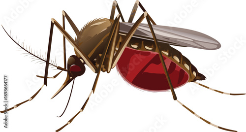 realistic blood filled cartoon of a brown malaria eps