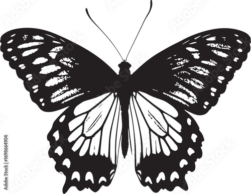 Black Silhouette of a Butterfly with Detailed Wing Patterns insect wings