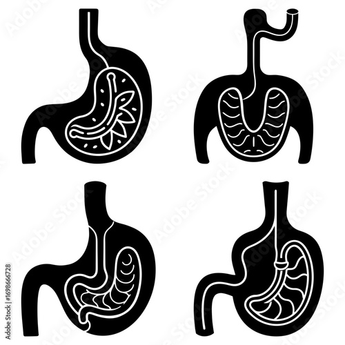 Anatomical illustrations showcasing diverse stomach structures and internal configurations in black and white