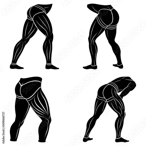 Illustration showing four different poses of muscular legs and buttocks in black and white silhouette style