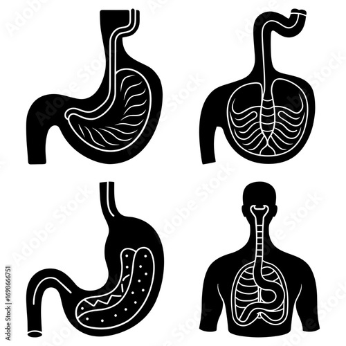 Illustration of human digestive system showing stomach and esophagus in black and white diagrams