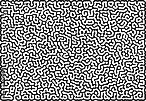 Abstract black and white maze pattern with organic flowing lines creating a complex intricate and visually engaging background texture