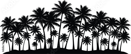 Silhouette of a dense tropical palm tree forest against a bright white background creating a striking natural landscape