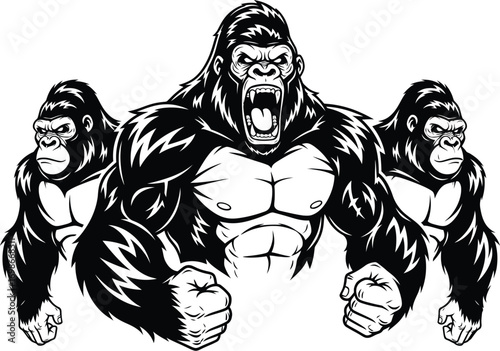 Three powerful gorillas in a line with the central ape roaring aggressively showcasing its strength and dominance