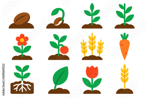 Plant Growth Icons. Flat vector icons of plant growth stages: seed, germinated sprout, young seedling, developing plant, flowering