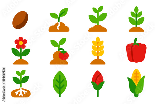 Plant Growth Icons. Flat vector icons of plant growth stages: seed, germinated sprout, young seedling, developing plant, flowering