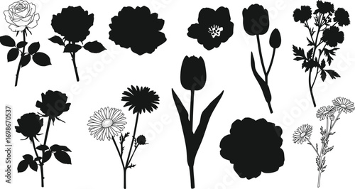 Black and white flower silhouettes, rose, tulip, daisy, carnation vector set, floral clipart, botanical illustration, elegant plant design art