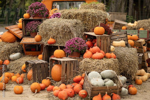 Obraz na plátně Colorful autumn decoration with pumpkins, hay bales, wooden crates and flowers arranged in rustic style outdoors