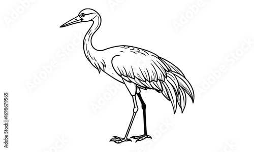 Crane Kids t shirt design silhouette and vector line art, High-Quality Illustration, Ideal for Relaxation and Stress Relief, Perfect for Adult Coloring Books and Printable Art Therapy.