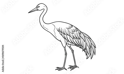 Crane Kids t shirt design silhouette and vector line art, High-Quality Illustration, Ideal for Relaxation and Stress Relief, Perfect for Adult Coloring Books and Printable Art Therapy.