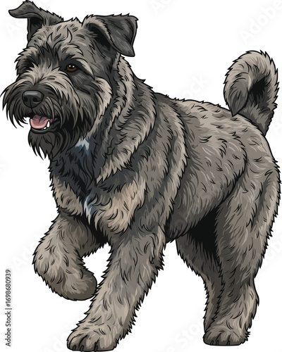 Bouvier des Flandres dog running energetic vector illustration