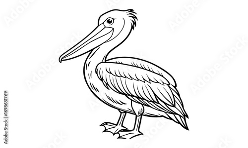 Pelican Kids t shirt design silhouette and vector line art, Detailed High-Quality Line Art, Suitable for Adult Coloring Books, Stress Relief, Relaxation, and Printable Art Therapy Projects.
