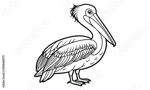 Pelican Kids t shirt design silhouette and vector line art, Detailed High-Quality Line Art, Suitable for Adult Coloring Books, Stress Relief, Relaxation, and Printable Art Therapy Projects.
