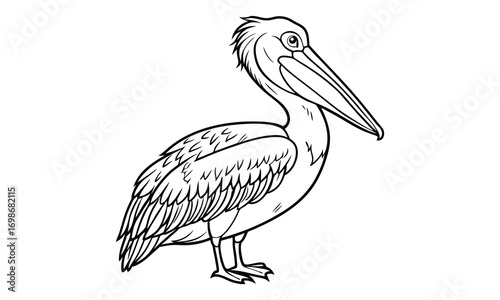 Pelican Kids t shirt design silhouette and vector line art, Detailed High-Quality Line Art, Suitable for Adult Coloring Books, Stress Relief, Relaxation, and Printable Art Therapy Projects.