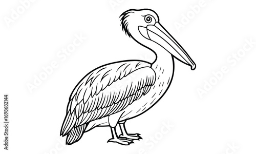 Pelican Kids t shirt design silhouette and vector line art, Detailed High-Quality Line Art, Suitable for Adult Coloring Books, Stress Relief, Relaxation, and Printable Art Therapy Projects.