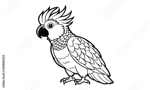 Cockatoo Kids t shirt design silhouette and vector line art, High-Quality Illustration, Ideal for Relaxation and Stress Relief, Perfect for Adult Coloring Books and Printable Art Therapy.