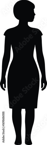 silhouette, sheath dress, knee-length, cap sleeves, boat neck