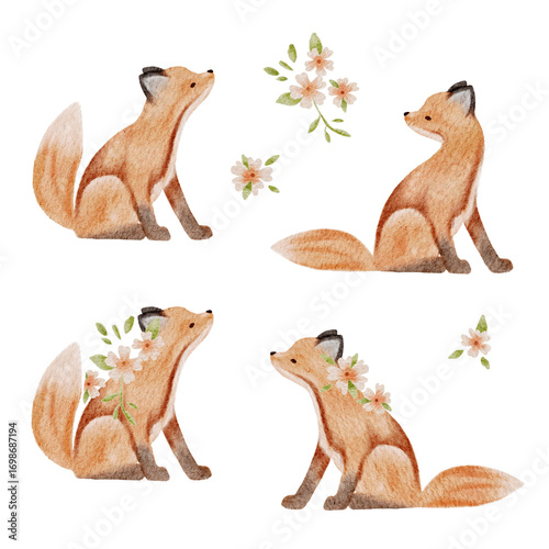 Watercolour illustrations png set. Hand drawn foxes and flowers