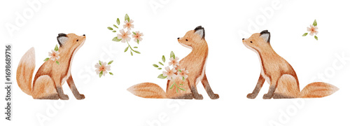 Watercolour illustrations png set. Hand drawn foxes and flowers