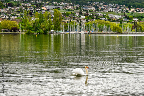 Colombier, Neuenburgersee, Seeufer, Uferweg, Strand, Hafen, Wassersport, Wasservögel, Naturschutz, Auvernier, Neuenburg, Seerundfahrt, Frühling, Schweiz