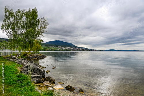 Colombier, Neuenburgersee, Seeufer, Uferweg, Strand, Hafen, Wassersport, Wasservögel, Naturschutz, Auvernier, Neuenburg, Seerundfahrt, Frühling, Schweiz