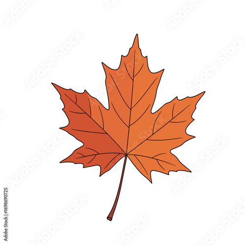 Vibrant orange autumn maple leaf symbolizing the change of seasons