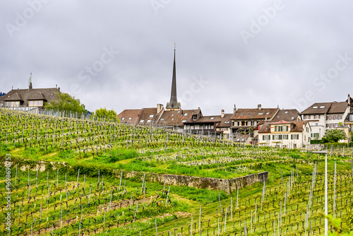 Cortaillod, Petit-Cortaillod, Weindorf, Weinberge, Neuenburgersee, Weinbauer, Uferweg, Seeufer, Alpen, Alpenpanorama, Naturschutz, Neuenburg, Frühling, Schweiz