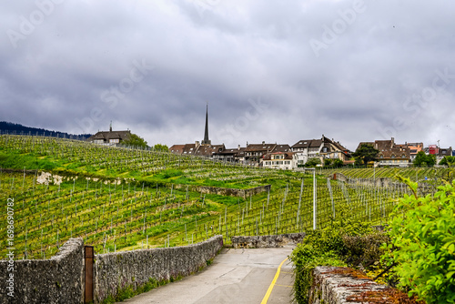Cortaillod, Petit-Cortaillod, Weindorf, Weinberge, Neuenburgersee, Weinbauer, Uferweg, Seeufer, Alpen, Naturschutz, Neuenburg, Frühling, Schweiz