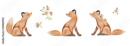 Watercolour illustrations png set. Hand drawn foxes and flowers