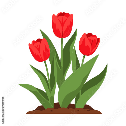 Vibrant red tulips blooming in rich soil with lush green leaves creating a beautiful spring garden scene